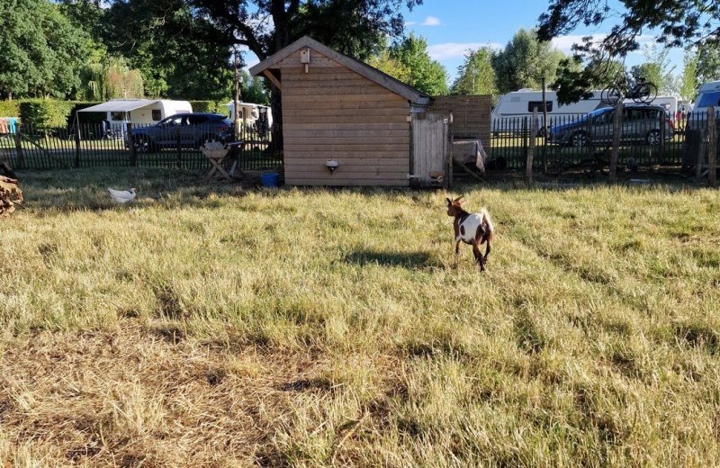 Dierenweide aux rives du soleil 645b884acb039