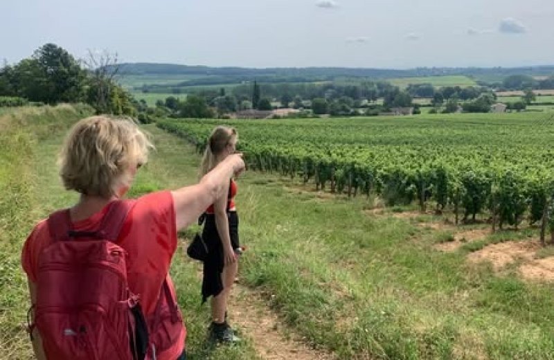 Hemelvaartweekend vol gezelligheid op aux rives du soleil wandeling en picknick
